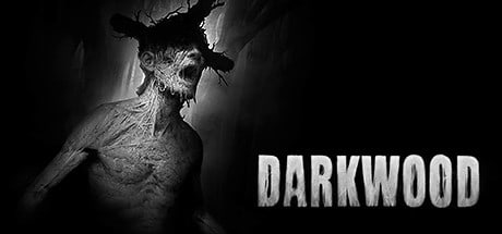 Системные требования Darkwood