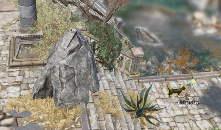 Как спасти черного кота в Divinity: Original Sin 2