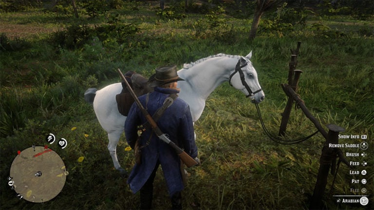 Где найти лучшую лошадь в Red Dead Redemption 2